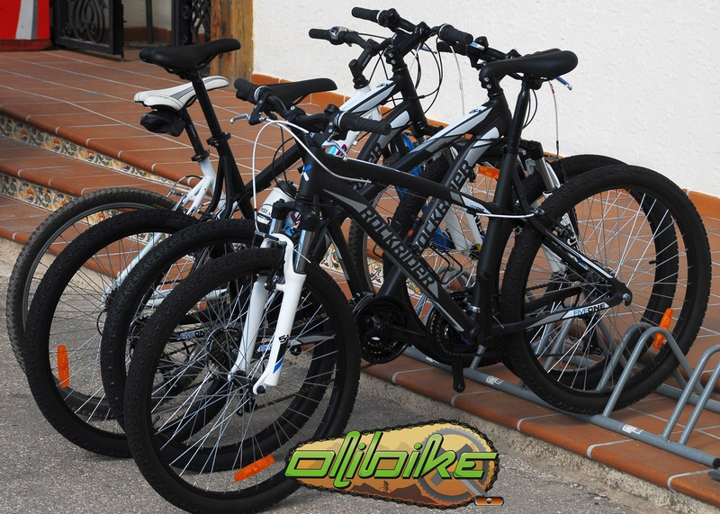 Alquiler y Rutas BBT