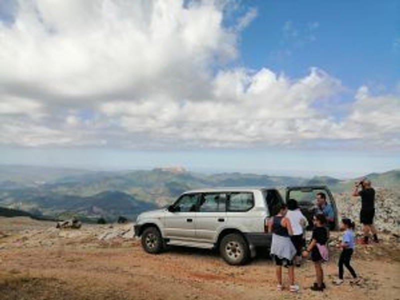 Siles Natura 11