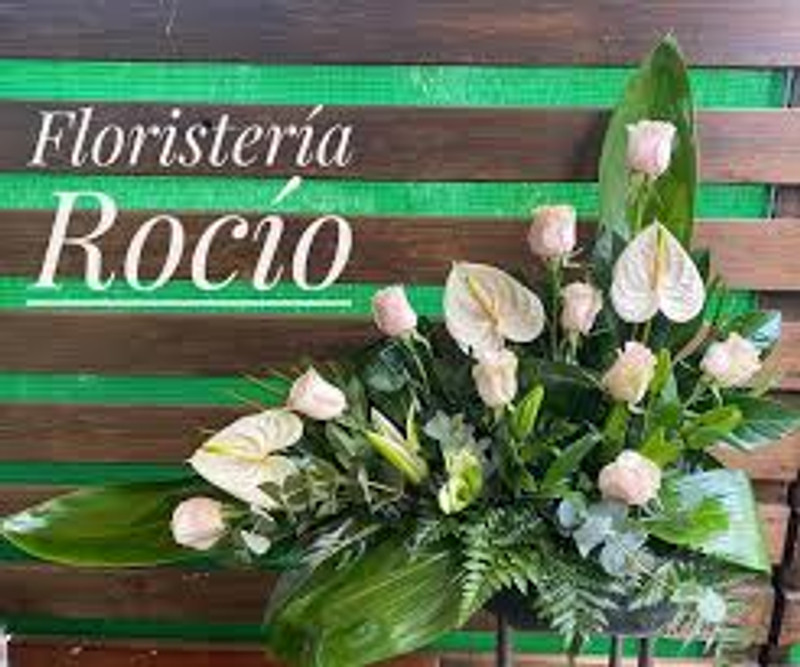 Floristería y Regalos Rocío 0