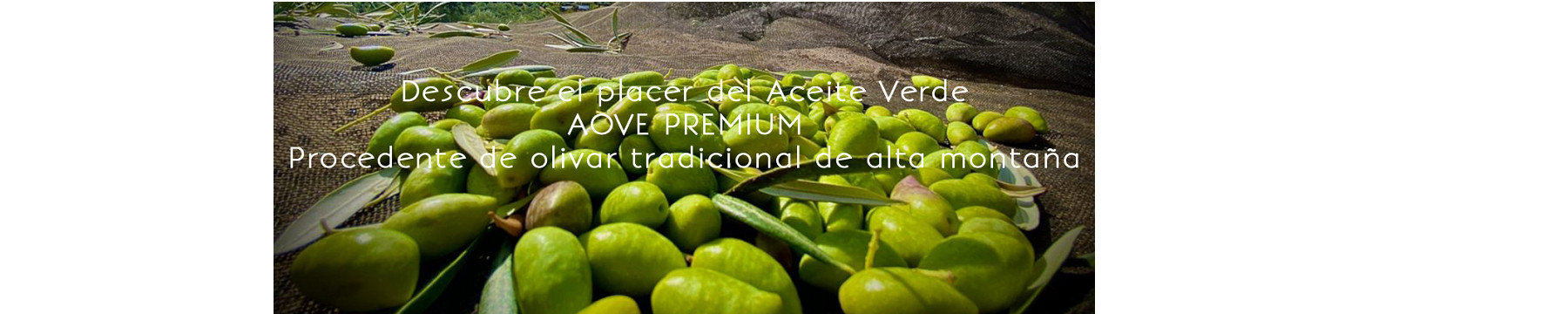 Aceite Verde Cañalacueva