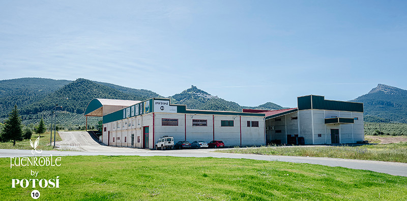Potosí 10 18
