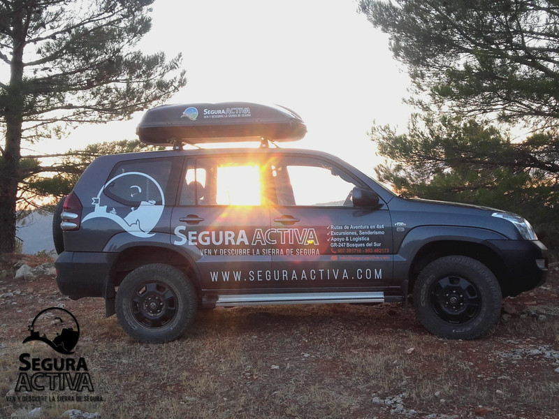 Segura Activa 7
