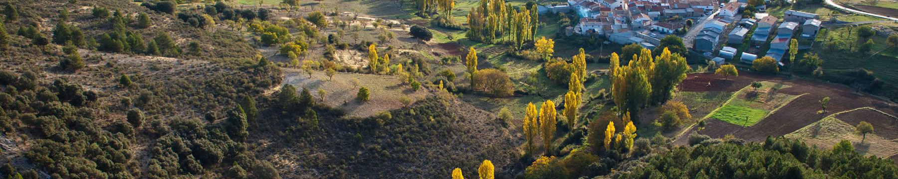 Casa Rural Rosa Blanca