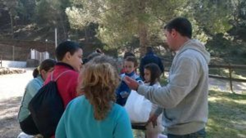 Siles Natura 12