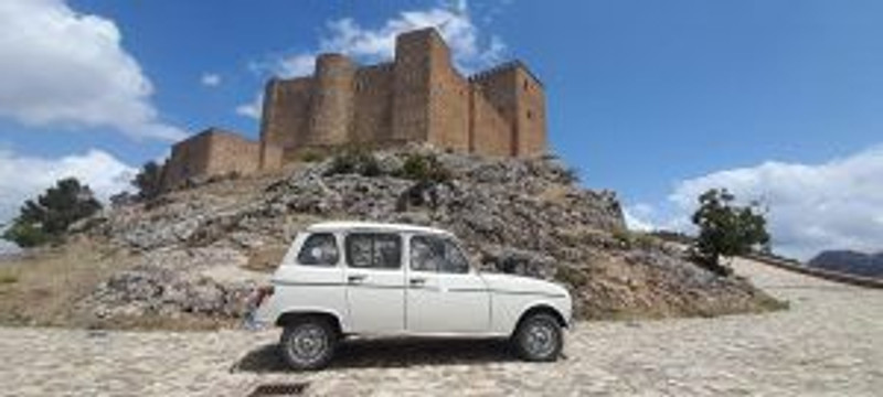 Siles Natura 8