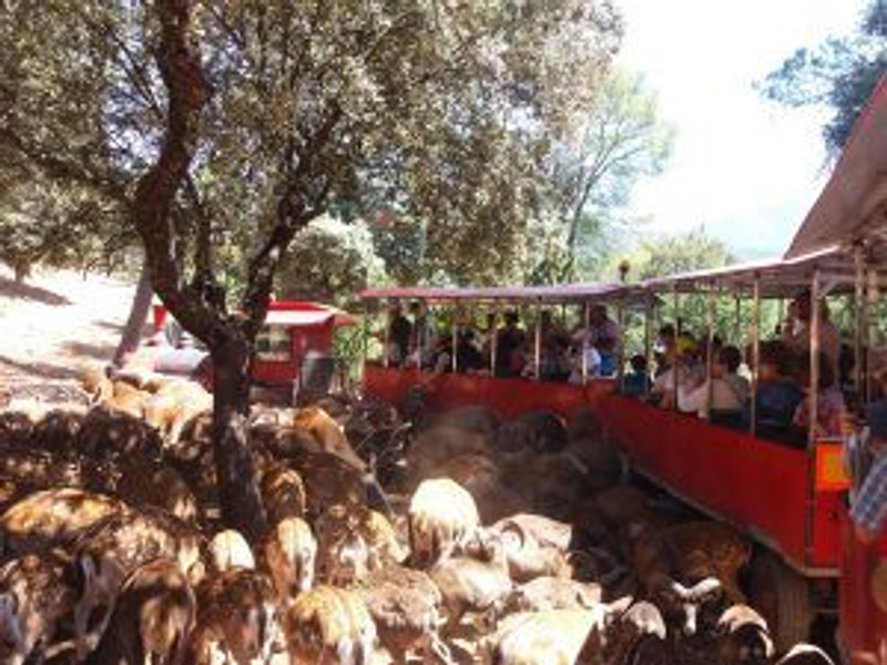 Siles Natura 4